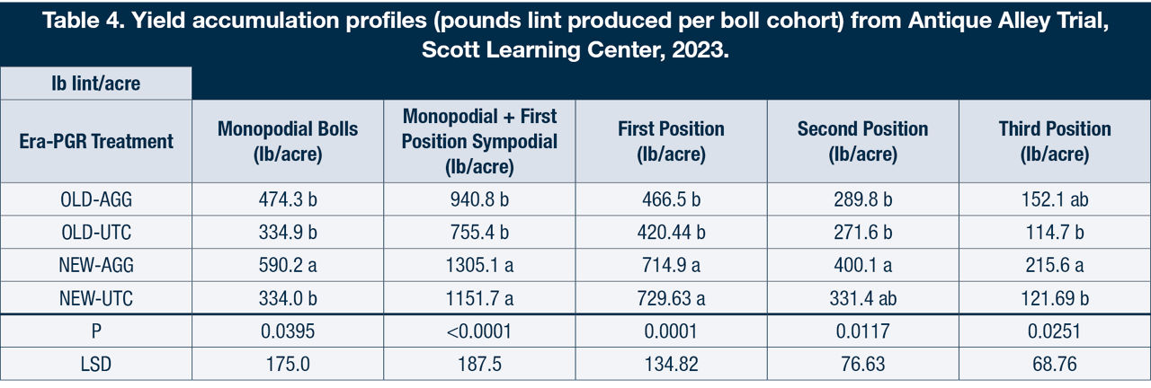Yield accumulation profiles (pounds lint produced per boll cohort) from Antique Alley Trial, Scott Learning Center, 2023